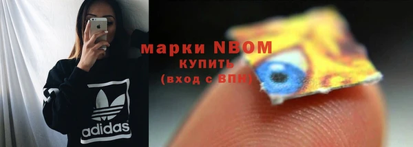 PSILOCYBIN Нефтегорск