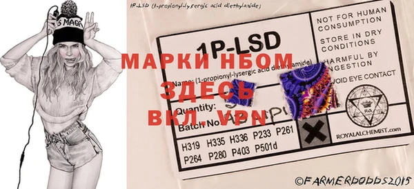 PSILOCYBIN Нефтегорск