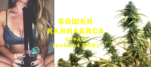 амф Нефтекумск