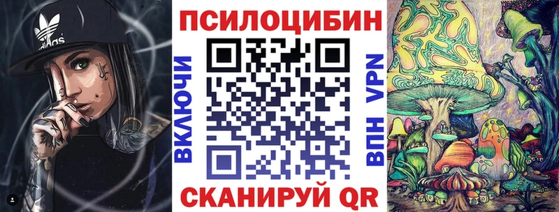 Купить закладки  Могоча  Галлюциногенные грибы Psilocybe 
